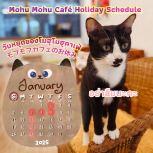 Holiday schedule