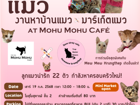 งานรับเลี้ยงแมว