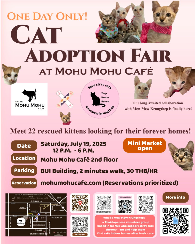 Cat-Adoption-Fair