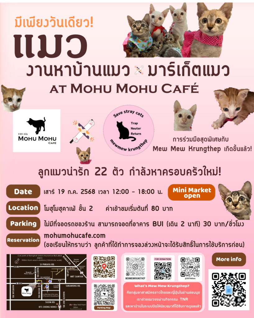Cat Adoption FairTH