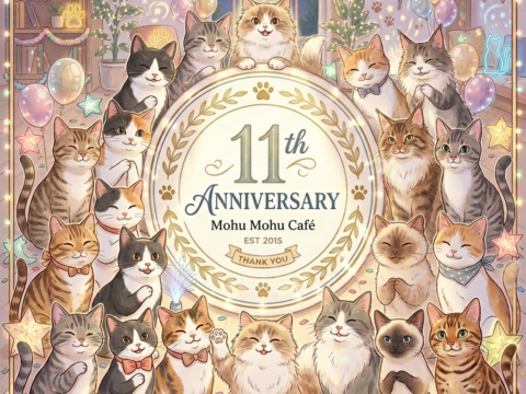 11th Anniversary