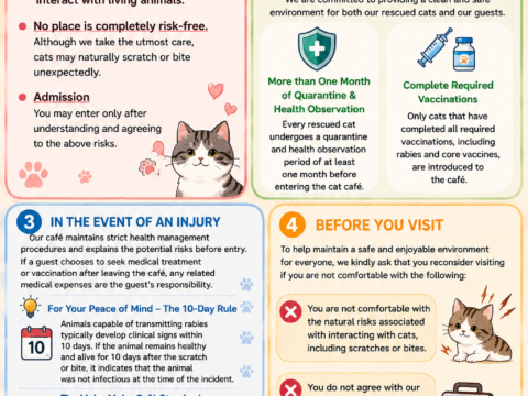 infographic explaining our house rules and safety guidelines